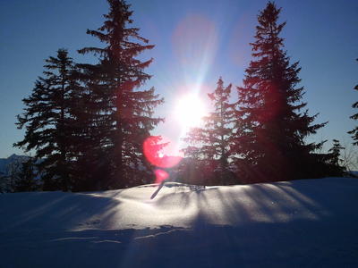 winter wonderland